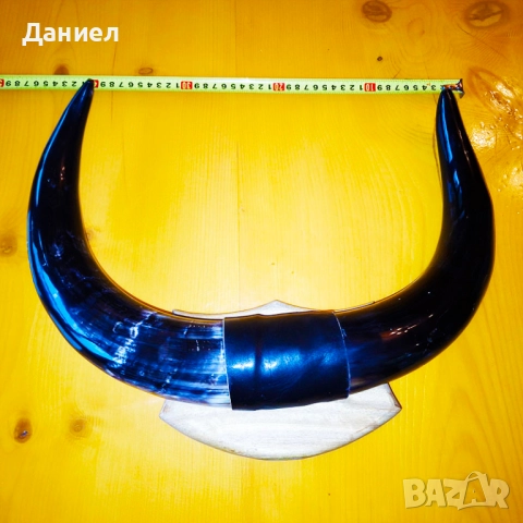 Декорация от рога на воден бивол, снимка 5 - Декорация за дома - 52028966