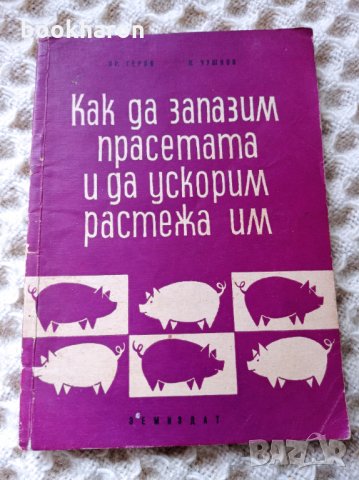 Как да запазим прасетата и да ускорим растежа им, снимка 1