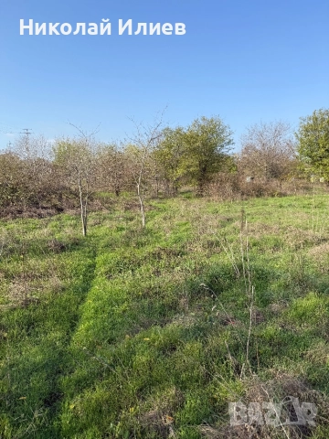 Промишлен парцел с.Тополи, снимка 7 - Парцели - 52501365