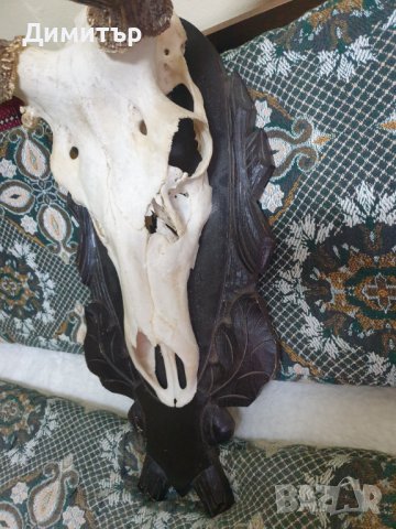 Трофей от голям благороден елен с поставка от дъб–ръчна дърворезба., снимка 10 - Антикварни и старинни предмети - 36803498