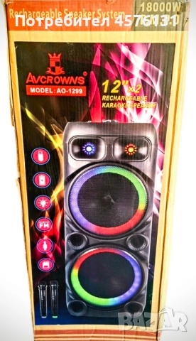 Караоке тонколона 2 х 12" с два микрофона, снимка 8 - Тонколони - 51496718