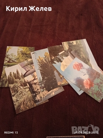 Ретро пощенски картички НИКИТСКИ БОТАНИЧЕСКИ ГРАДИНИ за КОЛЕКЦИЯ ДЕКОРАЦИЯ 7503, снимка 2 - Филателия - 51883333