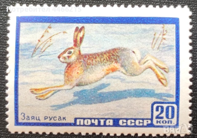 СССР, 1960 г. - самостоятелна чиста марка, животни, 1*46