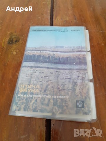 Стари диапозитиви Атанасовското езеро,Птича фауна