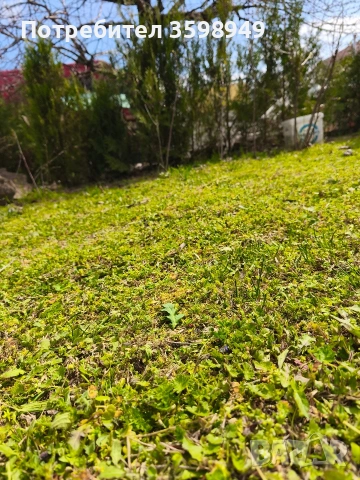 Косене 150€ /декар, снимка 3 - Други услуги - 54039642