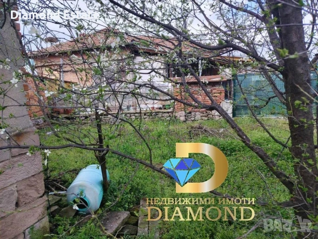 Едноетажна къща в село Сталево, обл. Хасково, снимка 10 - Къщи - 54042415