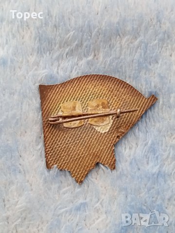 Бронзова соц. значка - БПФК, снимка 2 - Колекции - 31920708