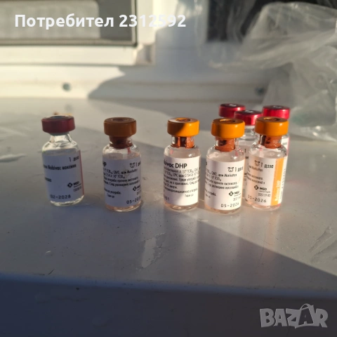 Продават се питбулчета!, снимка 10 - Питбул - 53116907