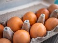 Яйца от домашни свободни кокошки, снимка 1 - Домашни продукти - 44322058