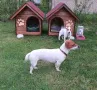 кучешка къща,къща за куче,колиба за куче,кучешка колиба, снимка 14