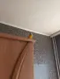 Поен папагал мъжки , снимка 17