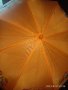 Голям чадър на Уйнкс,намален, снимка 2