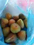 Продавам смокини екологично чисти, снимка 1