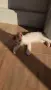 Котета 6 бр. На 2 м., снимка 2