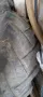 Две гуми Semperit 14.9 R24 (380/85R24), снимка 2