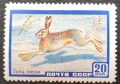 СССР, 1960 г. - самостоятелна чиста марка, животни, 1*46, снимка 1