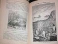 Жизнь моря: Животный и растительный мир моря, его жизнь и взаимоотношения, снимка 2