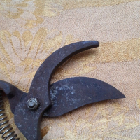 Стара лозарска ножица , снимка 10 - Други ценни предмети - 36416385