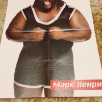 Уникални плакати на Първична сила WWE - Разбиване - Кеч, снимка 16 - Нумизматика и бонистика - 44700639