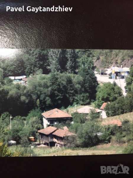 Иглолистна гора-Рибарица ,Костина, снимка 1