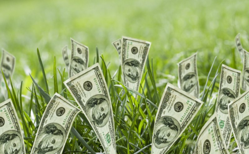 СТРАЖИЦА и КЕСАРЕВО - земеделска земя. Купувам., снимка 1