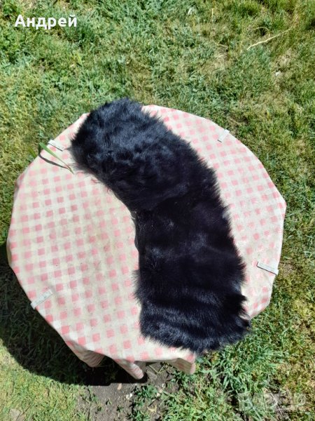 Стара кожена яка, снимка 1