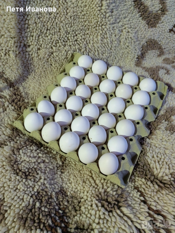 Домашни яйца, снимка 1