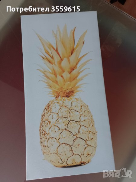 картина пано Ананас 40 см х 20 см от Испания , снимка 1