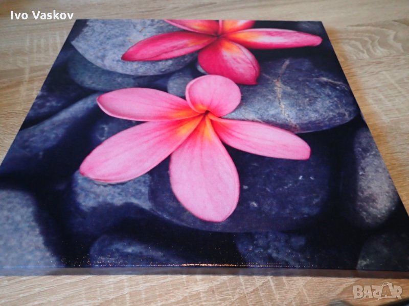 Висококачествено пано 30 см х 30 см / различни видове /, снимка 1