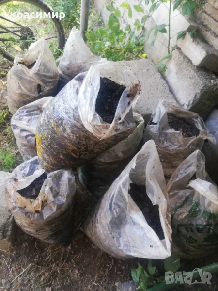 троптина, снимка 1