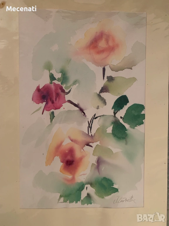 ПАОЛА СТОЕВА акварел натюрморт, снимка 1