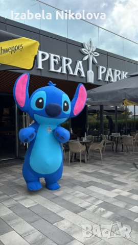 Изненада с голямата бяла мечка, снимка 4 - Други услуги - 48731258