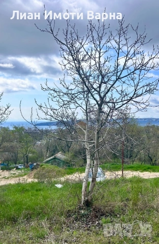 Парцел с морска Панорама кв. Изгрев, снимка 3 - Парцели - 54187363