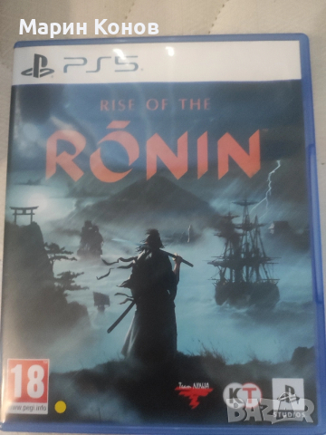 rise of the ronin