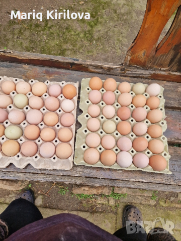 Продавам домашни яйца 12лв.картона , снимка 4 - Домашни продукти - 44582097