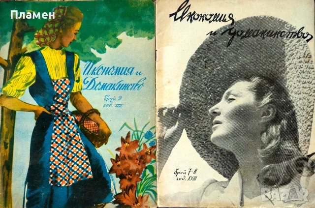 Икономия и домакинство. Кн. 3, 4, 6, 8 / 1930, Кн. 1 / 1931, Кн. 3 / 1934, снимка 10 - Антикварни и старинни предмети - 55728867