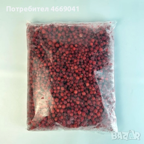 диви горски боровинки (замразени), снимка 2 - Други стоки за дома - 52658278