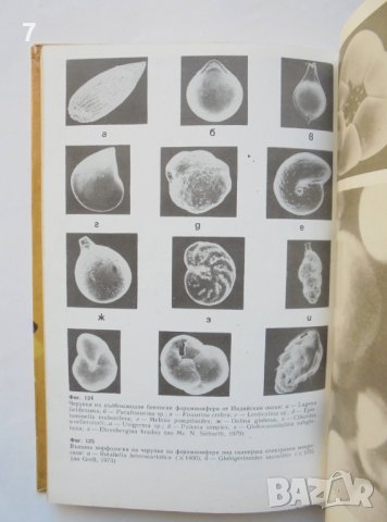 Книга Протозоология - Васил Големански 1990 г., снимка 3 - Учебници, учебни тетрадки - 38346939