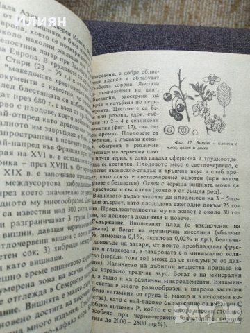 Домашна енциклопедия плодолечение и козметика, снимка 4 - Енциклопедии, справочници - 37758397