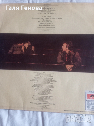 Грамофона плоча Robin Gibb, снимка 2 - Грамофонни плочи - 54159478