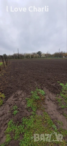 3.4 дка в с. Златия – ⚡ТОК 💧ВОДА ⛏️КЛАДЕНЕЦ 🌱ОРАНЖЕРИЯ ⚡ТРАФОПОСТ 🛣️АСФАЛТОВ ПЪТ, снимка 8 - Парцели - 54027636