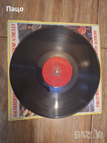 Любен и Весела божкови бта10821, снимка 3 - Грамофонни плочи - 50913004