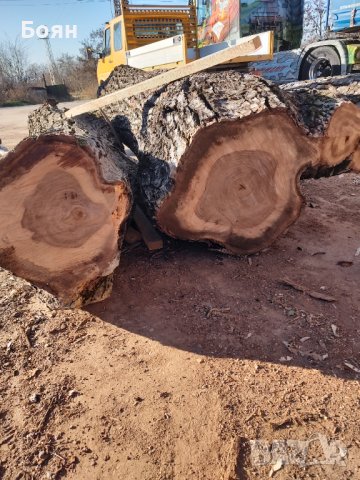 ЛИПА ДЪСКИ  , снимка 4 - Дърводелски услуги - 39226651