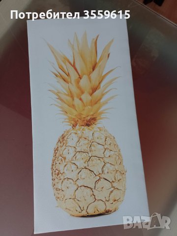 картина пано Ананас 40 см х 20 см от Испания 