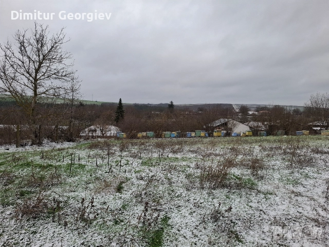 къща в гр. Силистра С. сребърна 24000лв, снимка 15 - Къщи - 52921134