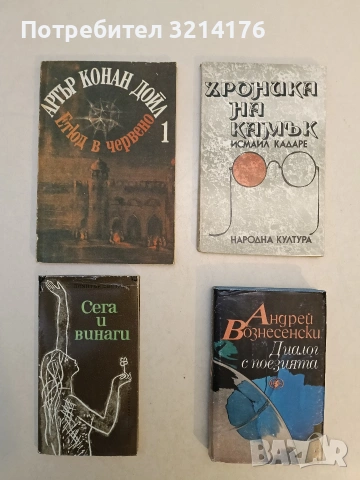 Хроника на камък - Исмаил Кадаре