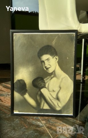 Стара снимка, графика на боксьор в рамка. 