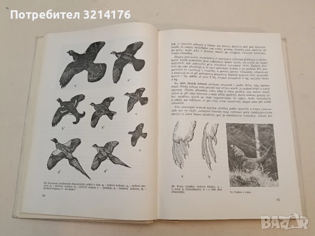 Основи на селекцията - Генчо Генчев, снимка 7 - Специализирана литература - 51428552