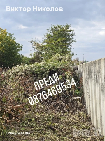почистване на мазета, тавани, дворове , снимка 4 - Почистване на домове - 54259309