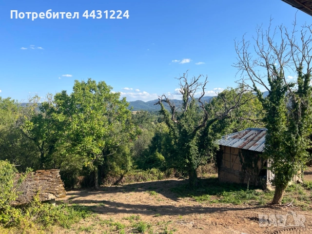 Селска двуетажна къща с прилежащ терен 2000 кв.м. и две стопански постройки, находящ се, снимка 3 - Къщи - 51617148